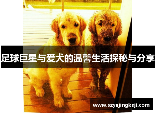 足球巨星与爱犬的温馨生活探秘与分享