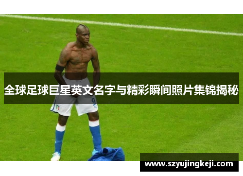 全球足球巨星英文名字与精彩瞬间照片集锦揭秘